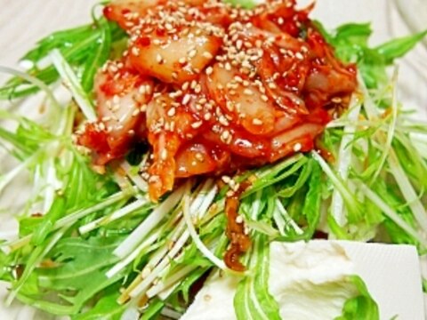 豆腐と水菜のキムチサラダ